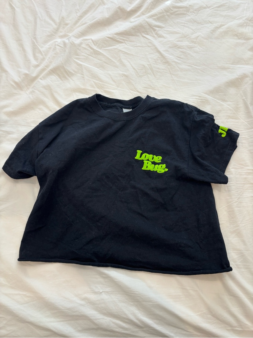 Jonas brothers love bug crop